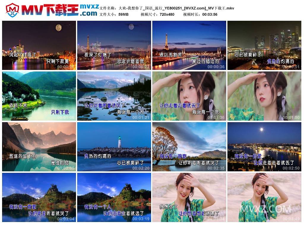 大欢-我想你了_国语_流行_YE800251